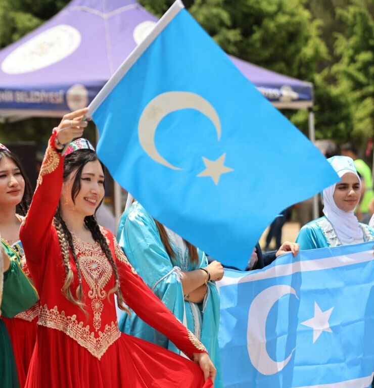 Yoruk Govu (2) 740X768