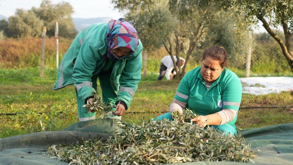 Zeyti̇n Hasadina (1) 1024X576