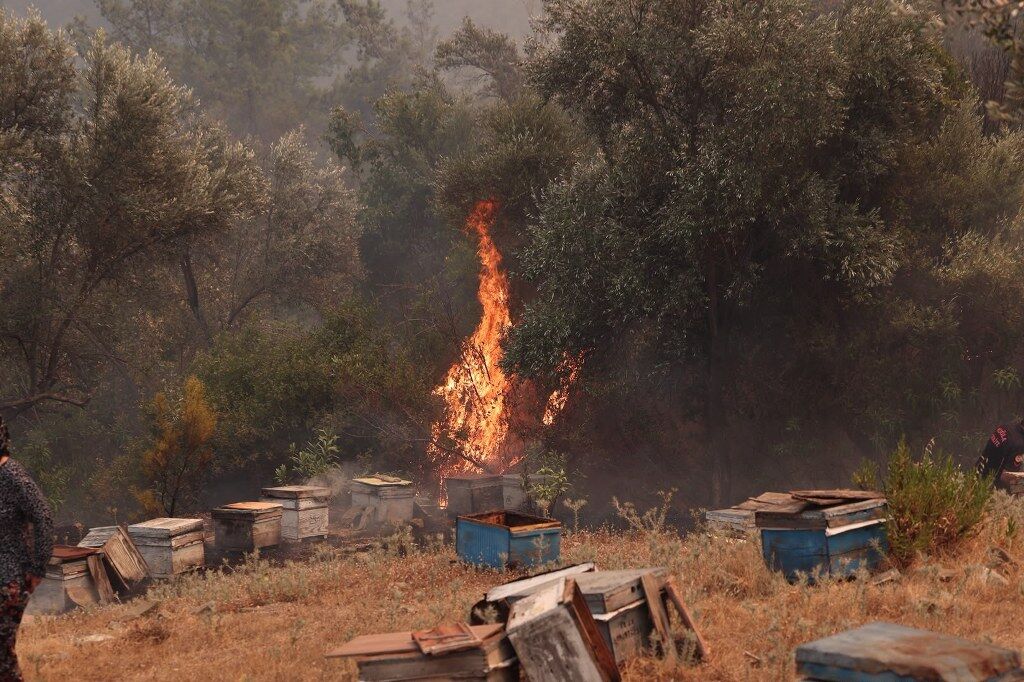 Alevlere Karşı Ortak Mücadele (2) 1024X682