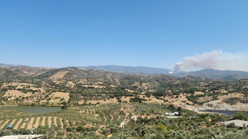 Aydın Orman (1) 800X450