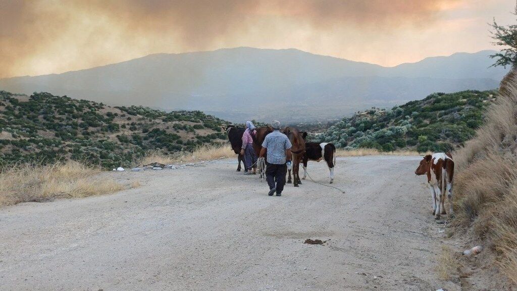Çine Yangın (3) 1024X576
