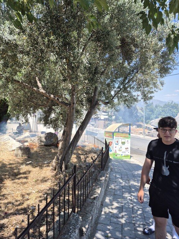 Fethiye Ot Yangını (3) 576X768
