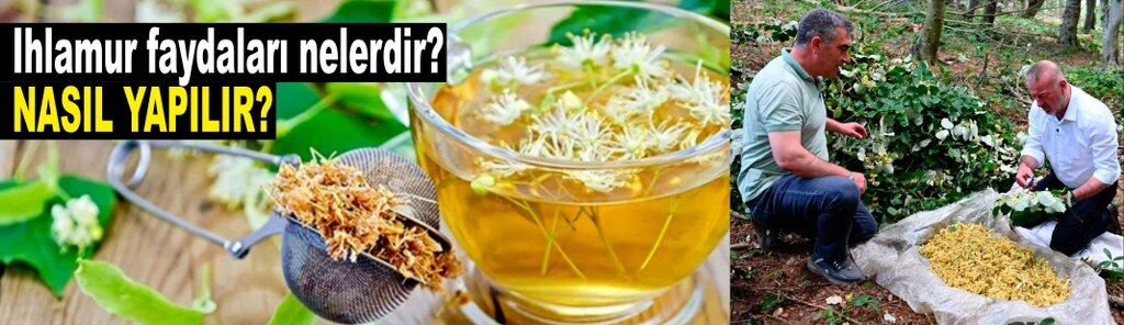 Ihlamur faydaları nelerdir, nasıl yapılır?