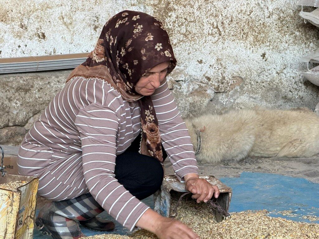 Iki Çocuğunu Çobanlık Yaparak Okuturyr (6) 1024X768