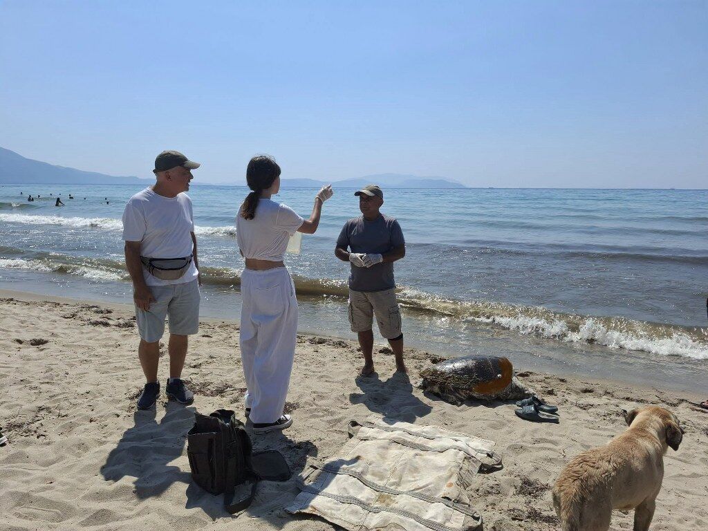 Izmir Ve Aydinda 3 Caretta Caretta Sahilde Olu Bulundu (2) 1024X768