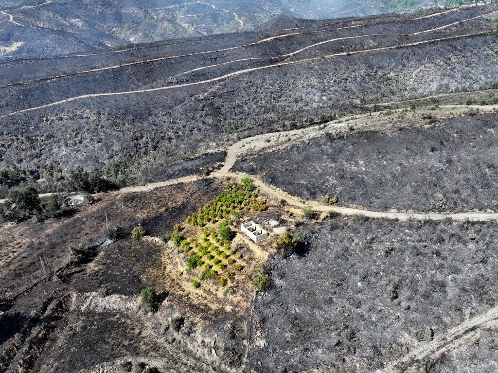 Lanya Ilcesinde Orman Yanginina Mudahale Ediliyor (2) 1024X767