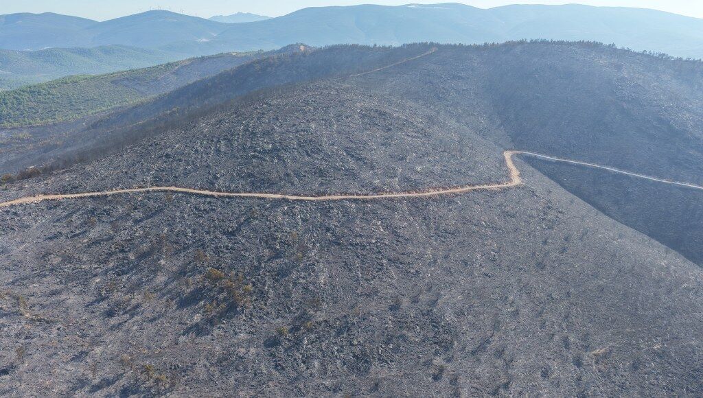 Muğla Yangın Milas (3) 1024X580