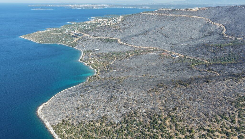 Muğla Yangın Milas (4) 1024X581