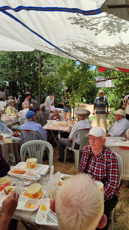 Nif Senlik (4) 432X768