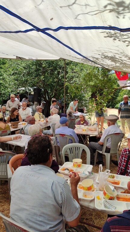 Nif Senlik (5) 432X768