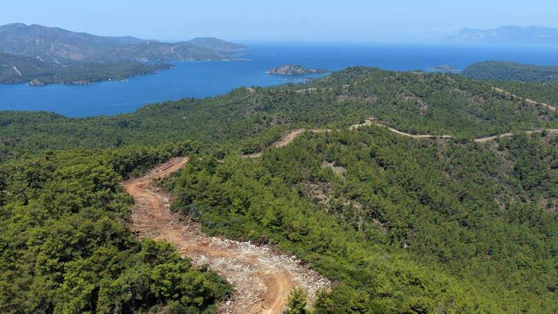 Orman Yol (1) 800X450