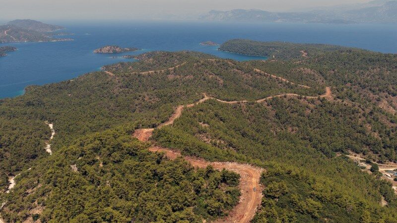 Orman Yol (2) 800X450