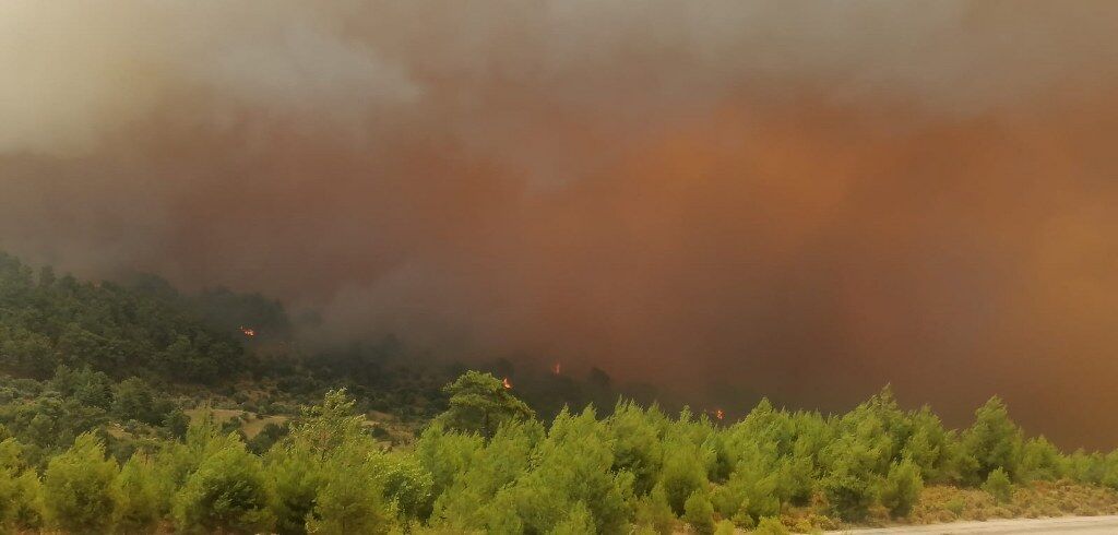 Seydikemer Kavaklı Yangın (11) 1024X490