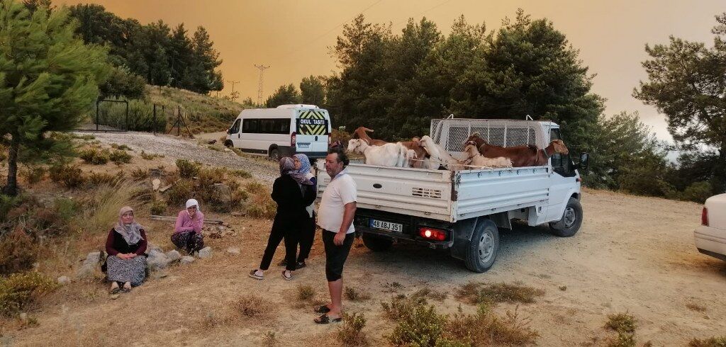 Seydikemer Kavaklı Yangın (9) 1024X490