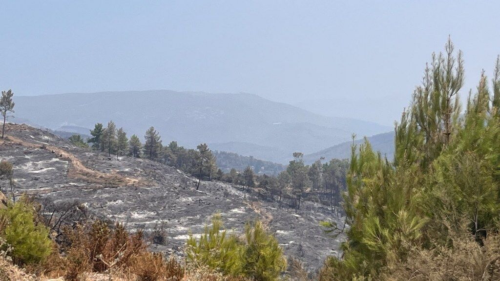 Seydikemer Yangın 30 Haz (5) 1024X576