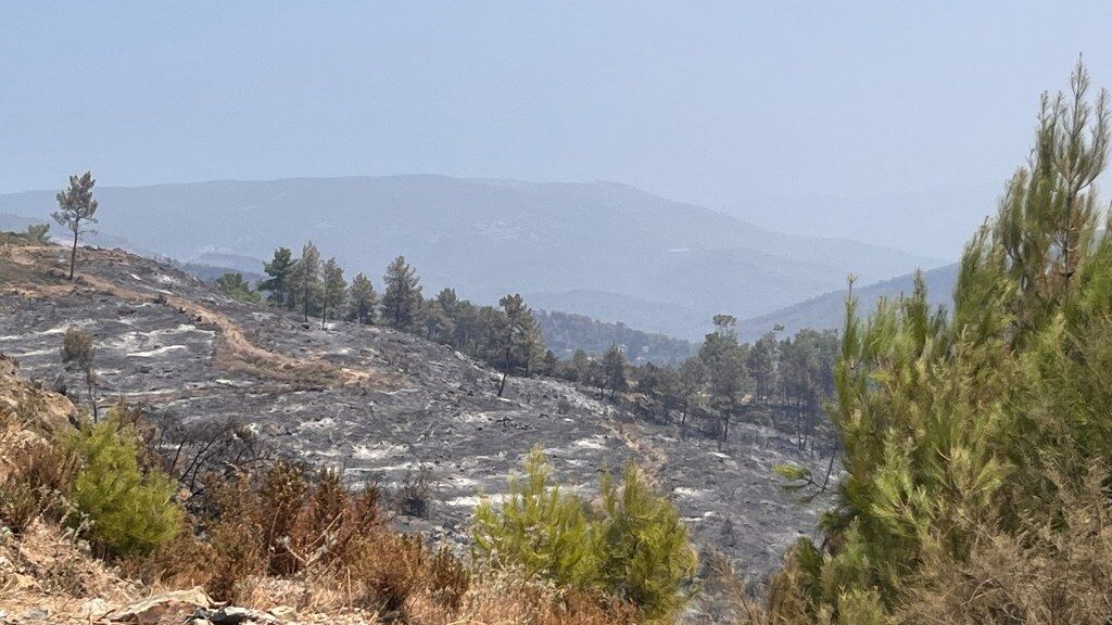 Seydikemer Yangın 30 Haz (6) 1024X576