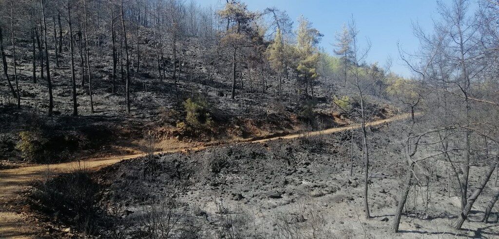 Üzümlü Yangın Soğutma (8) 1024X490