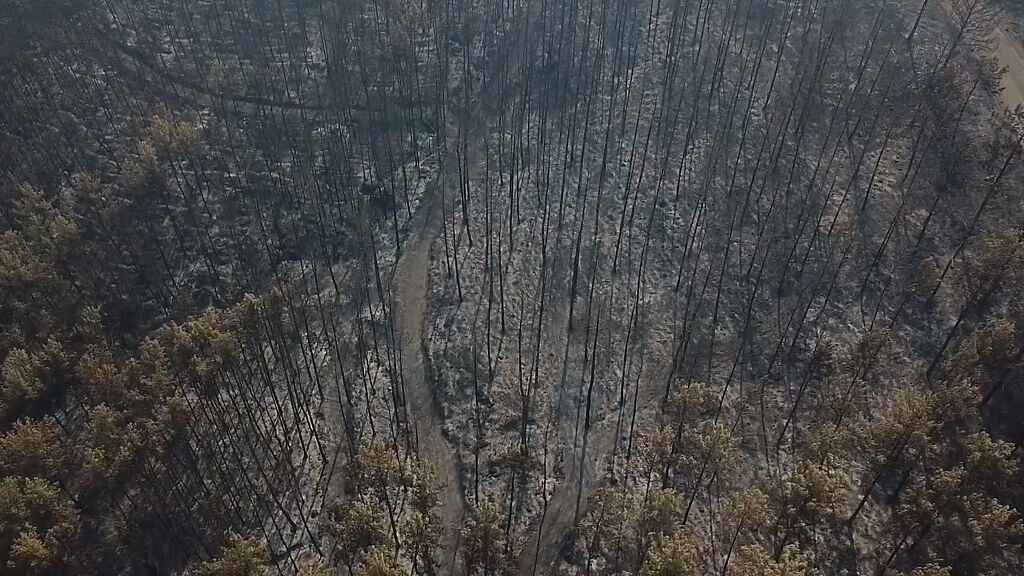 Yangın Seydikemeri Drone (3) 1024X576