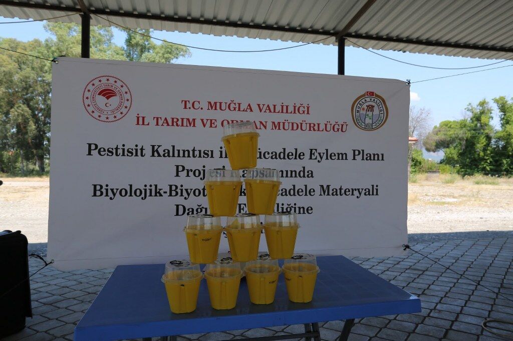 Akdeniz Meyve Sineği Tuzak Dağıtımı (2) 1024X682