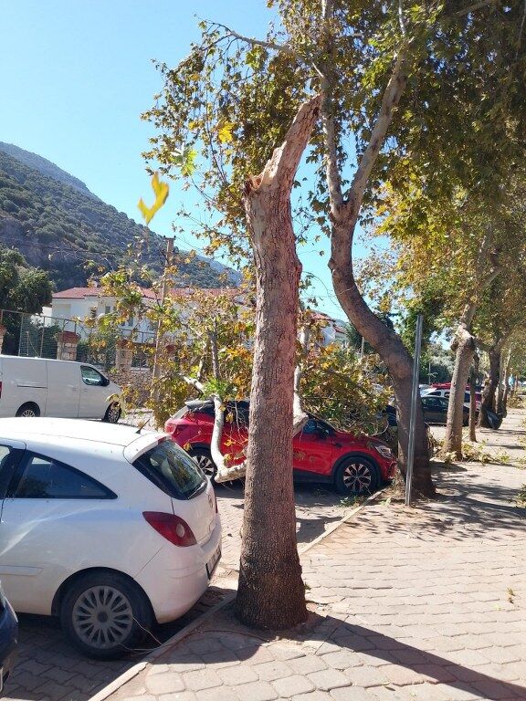 Belceğiz Ölüdeniz Fırtına (1) 576X768