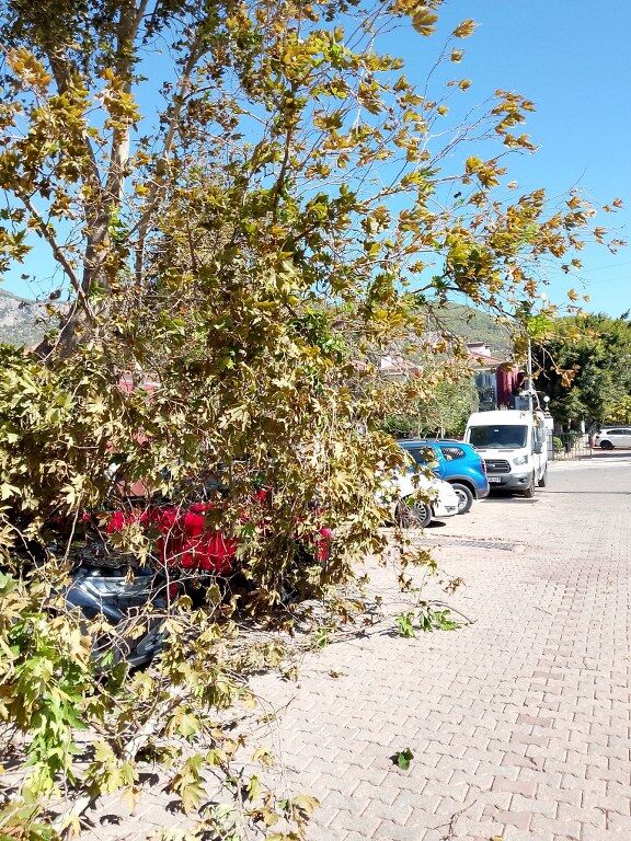 Belceğiz Ölüdeniz Fırtına (5) 576X768
