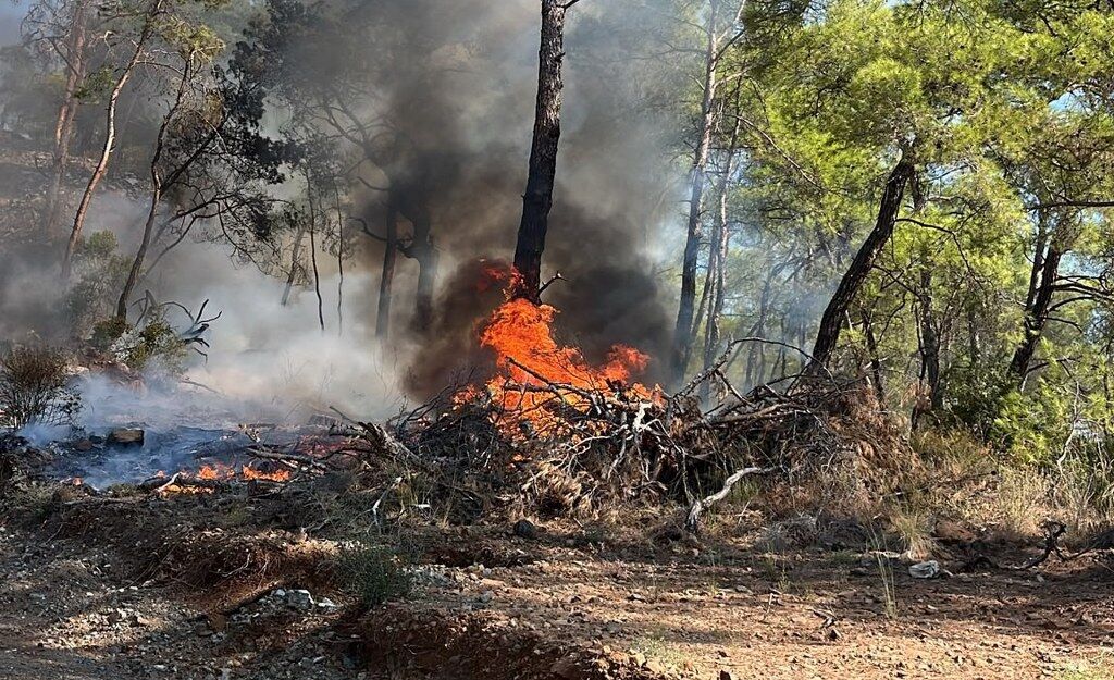 Fethiye Araç Yangını Ormana Sıçradı (1) 1024X625