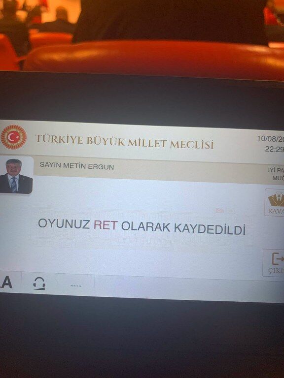 Metin Ergun 576X768