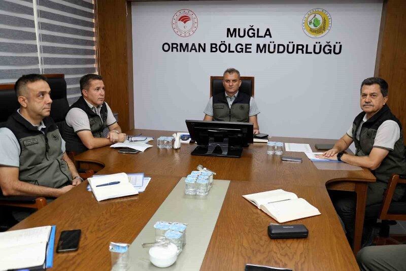 Ogm 800X534