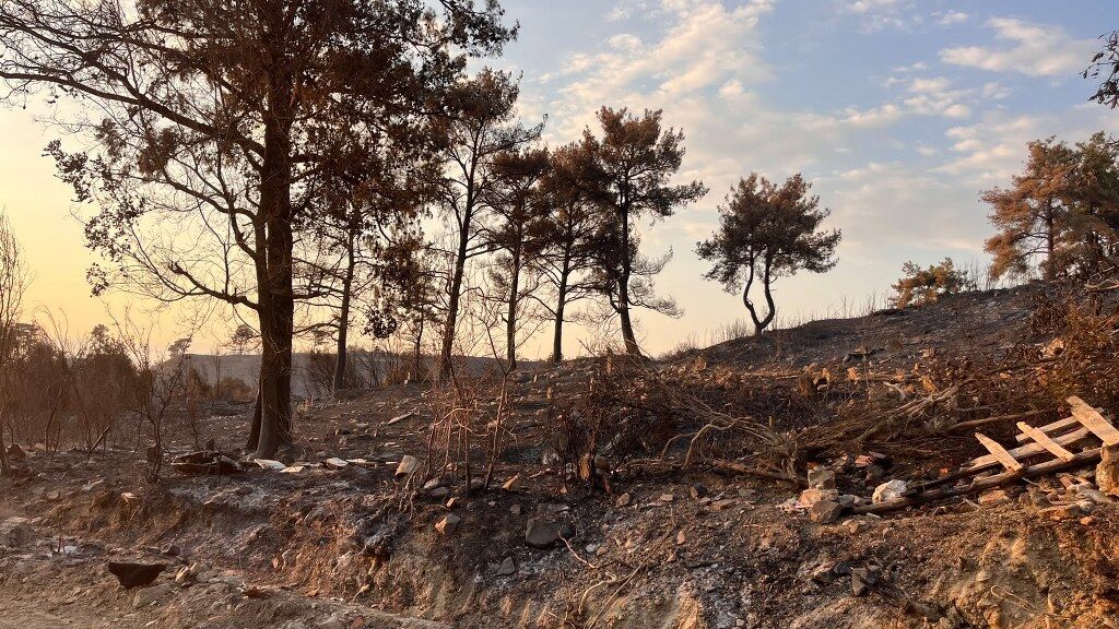 Seydikemer Yangın (8) 1024X576