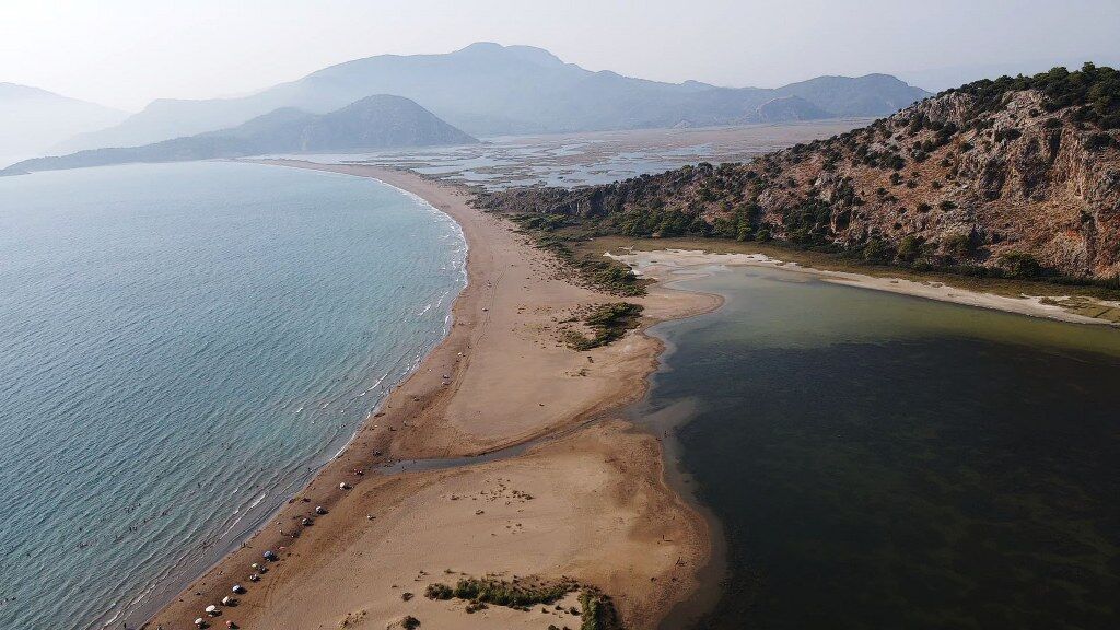 Uydu Cihaziyla Izlenen Caretta Caretta Tuba Bodrum Aciklarinda Yasamini Surduruyor (2) 1024X576