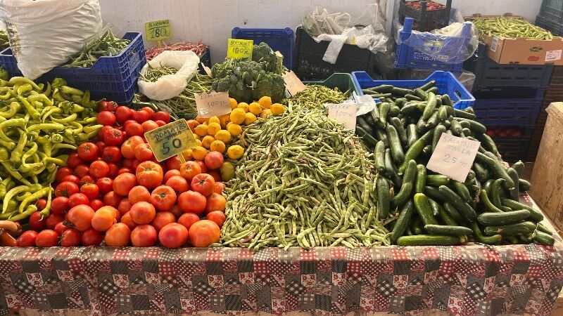 Whatsapp Image 2026 08 11 At 13.05.01 (2) 800X450