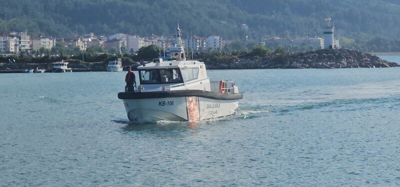 Balık (1) 800X374