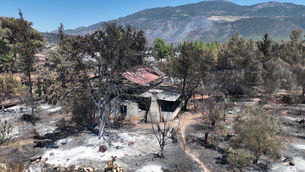 Orman Yangın (7) 1024X576