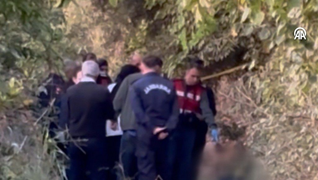 Aydın'da şüpheli ölüm! Koyun otlatmaya giden kişi arazide ölü bulundu
