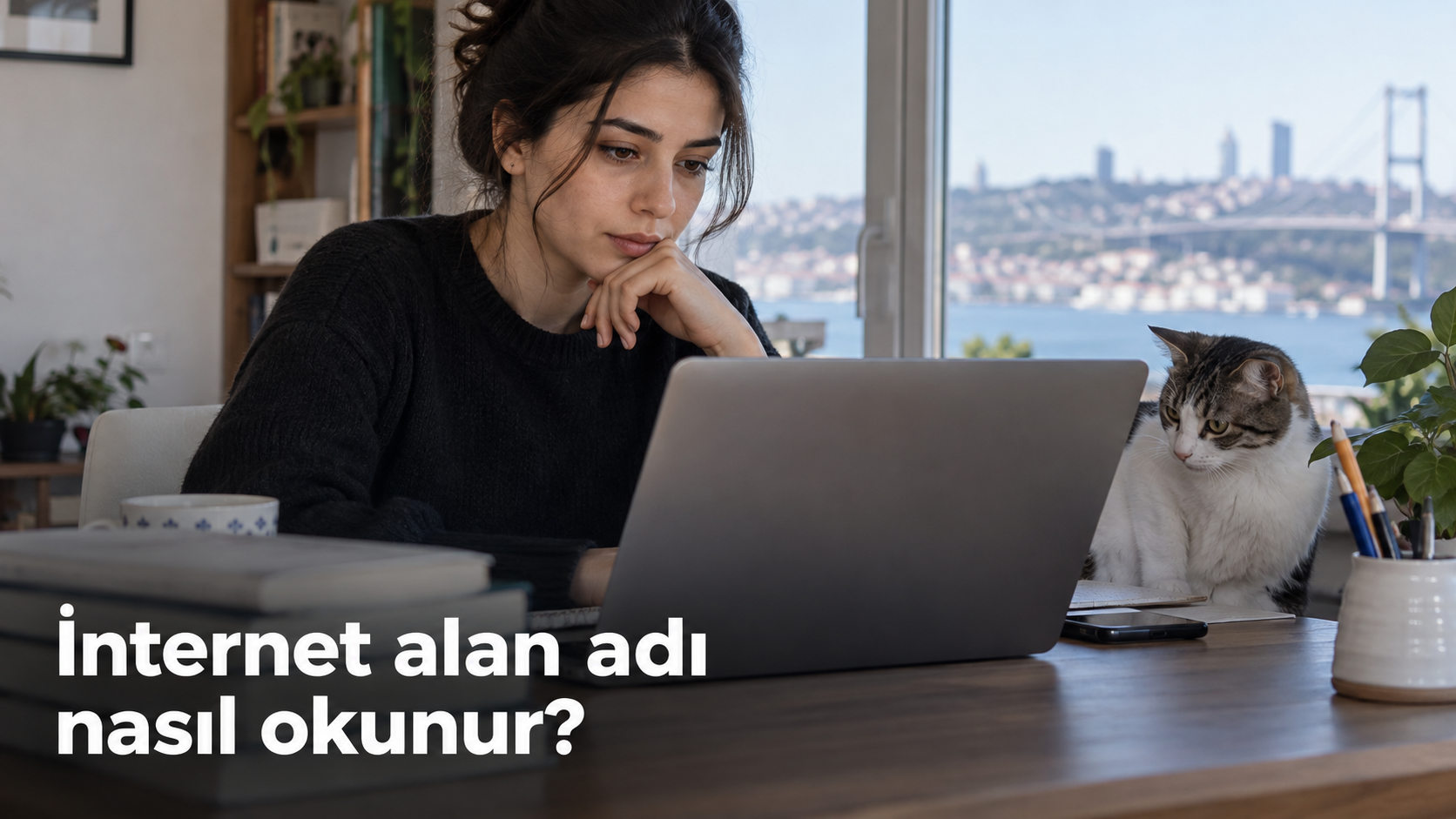 İnternet alan adı nasıl okunur?