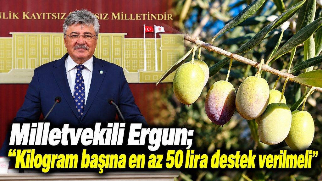 Milletvekili Ergun’dan zeytin üreticileri için 6 maddelik destek çağrısı