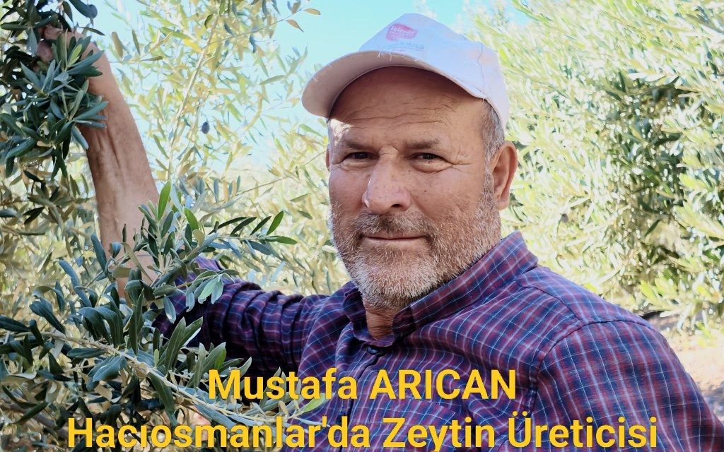 Zeytin Hasadı (1) 1024X640